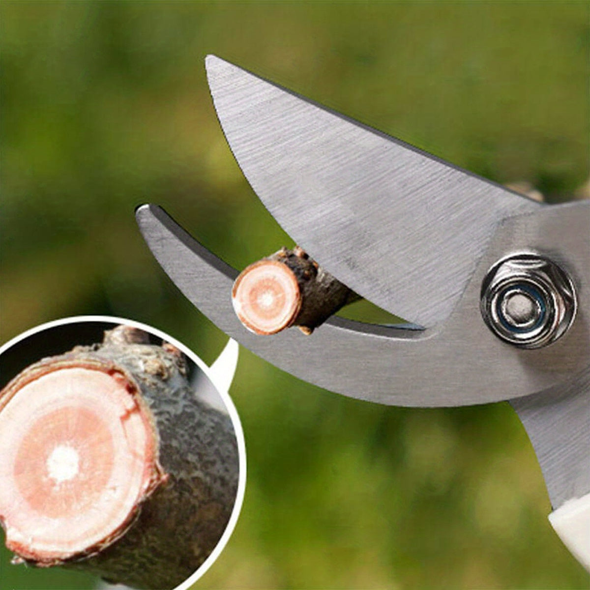 1 Pieces/2 Garden Pruning Shear Set Sharp Blade,Suitable for Cutting Flowers、Pruning Plants、Bonsai and Fruit Picking